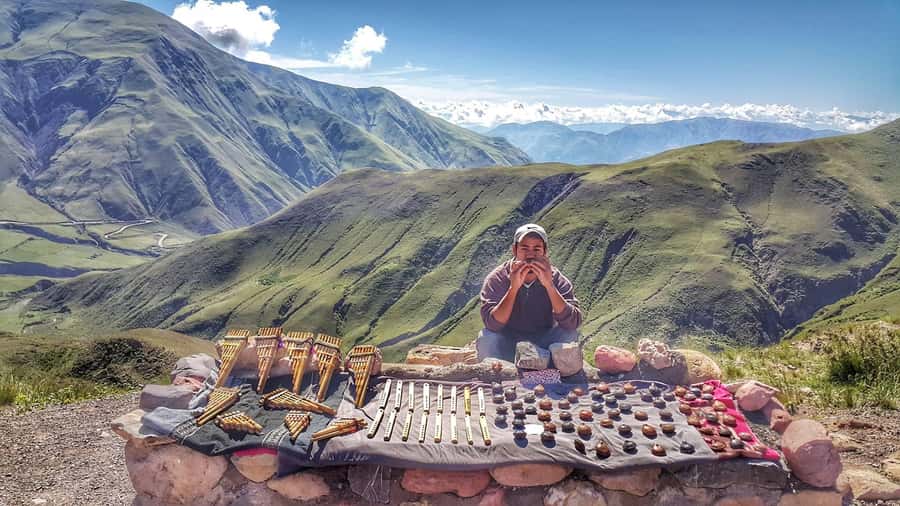 From Salta: Day Trip to Cachi and the Calchaquí Valleys - From Salta’s center to the Lerma Valley