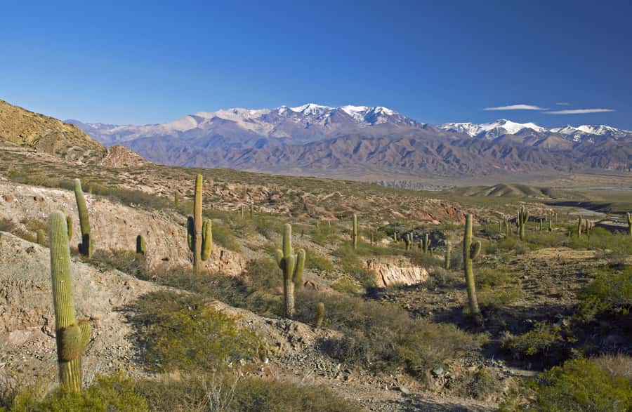 From Salta: Full-Day Scenic Tour to Cachi - Why the Road to Cachi Is the Real Attraction