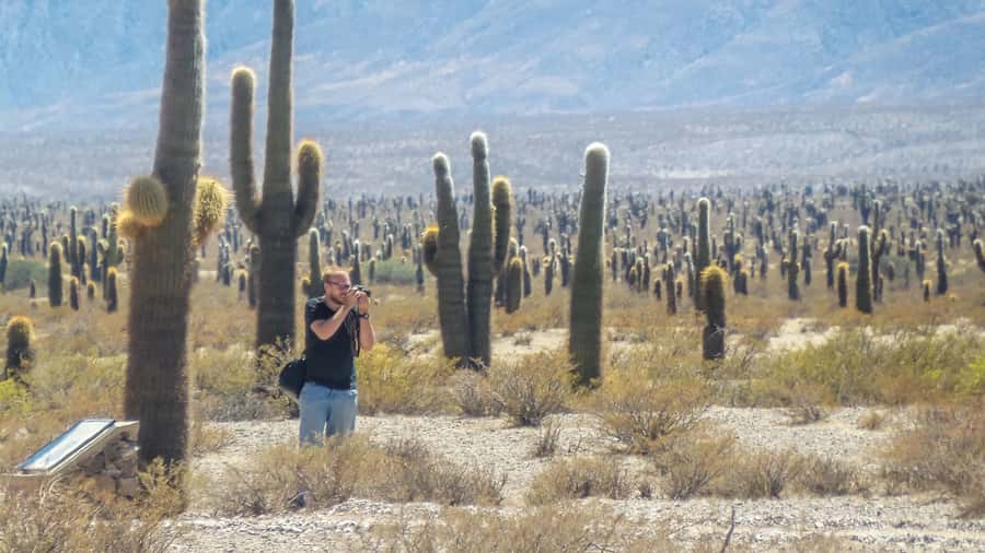 From Salta: Full-Day Scenic Tour to Cachi - FAQ