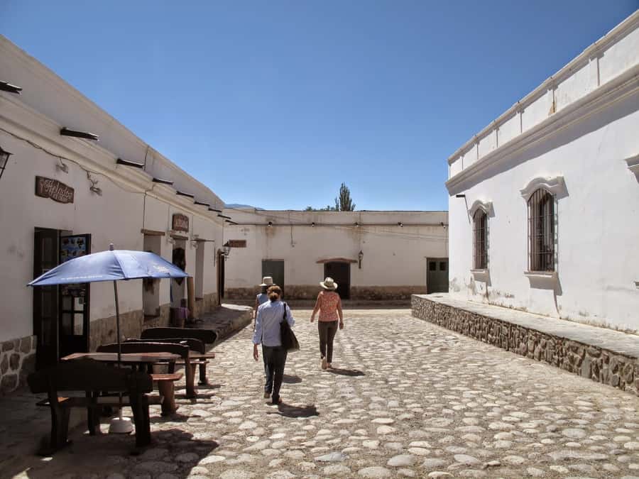 From Salta: Full-Day Scenic Tour to Cachi - Los Cardones National Park and Its Giant Cacti