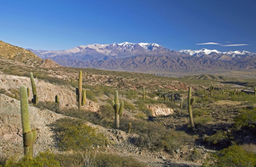 From Salta: Full-Day Scenic Tour to Cachi - Guides, Group Size, and the Minibus Ride