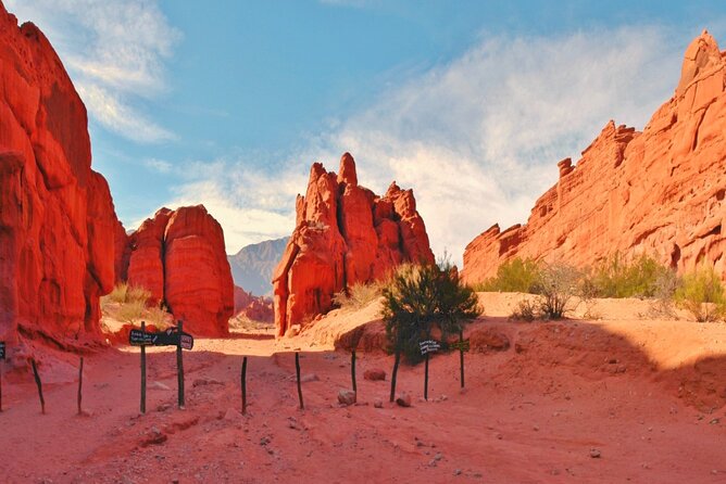 From Salta: Full-Day Tour to Cafayate, Land of Wines - Why this road trip is worth your day