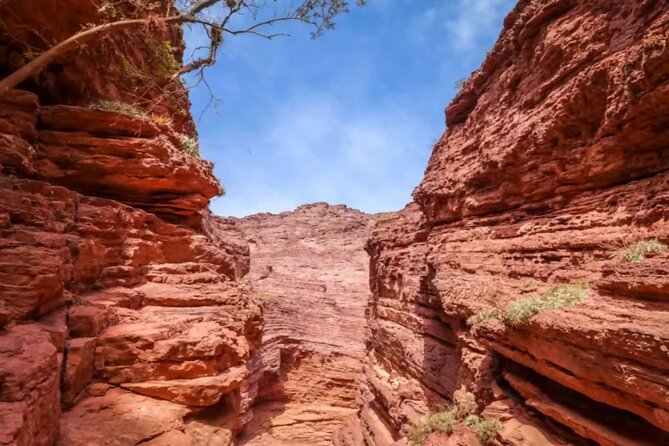 From Salta: Full-Day Tour to Cafayate, Land of Wines - What the winery visit really offers
