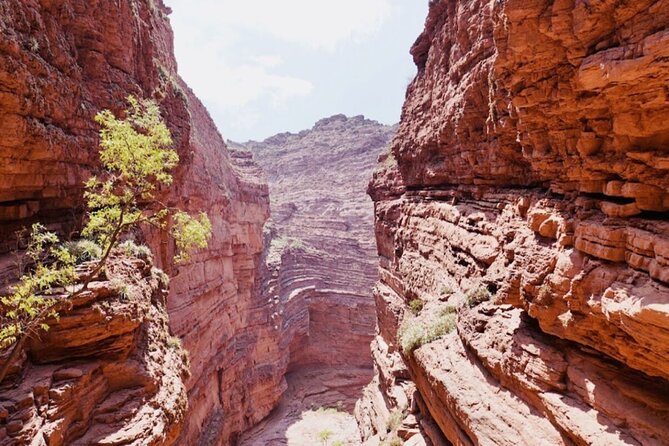 From Salta: Full-Day Tour to Cafayate, Land of Wines - Comfort, driving, and language