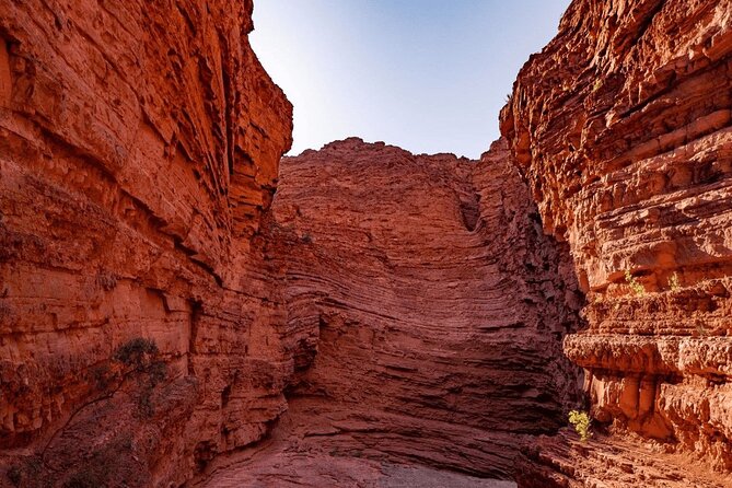 From Salta: Full-Day Tour to Cafayate, Land of Wines - Who will enjoy this tour most