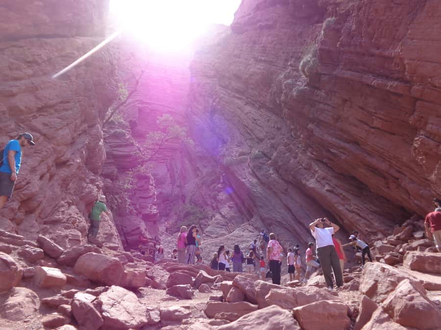 From Salta: Full-Day Tour to Cafayate with Wine Tasting - From Salta’s tobacco fields to the road south