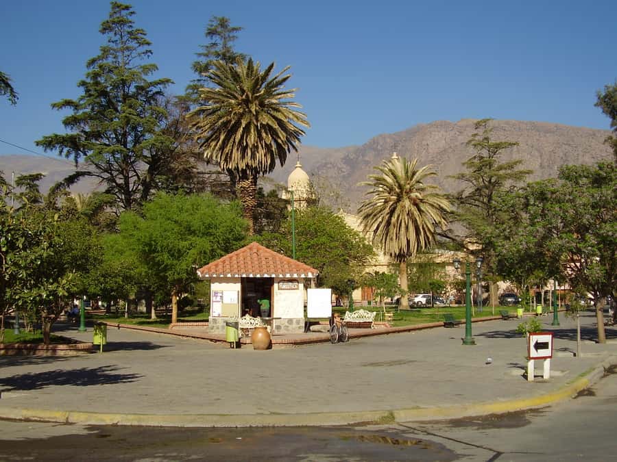 From Salta: Full-Day Tour to Cafayate with Wine Tasting - Cafayate, lunch, and the short wine stop