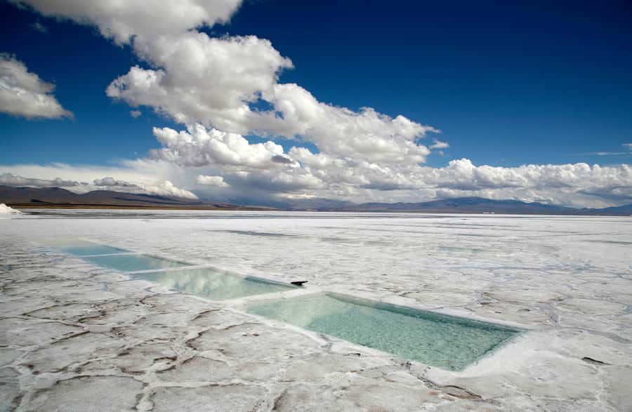 From Salta: Full-Day Trip to Salinas Grandes and Purmamarca - The minivan, guide, and comfort level