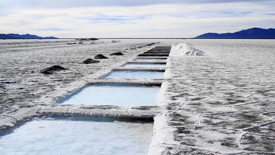 From Salta: Great Salt Flats Day Tour - Is $436 a fair price?