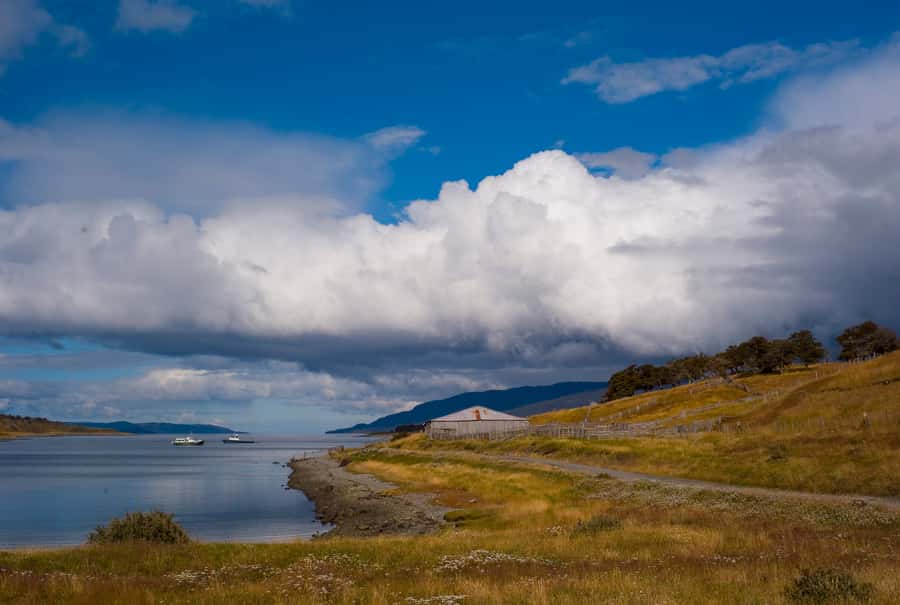 From Ushuaia: Penguin Watching Tour by Catamaran - Cormorant islands and Les Eclaireurs Lighthouse