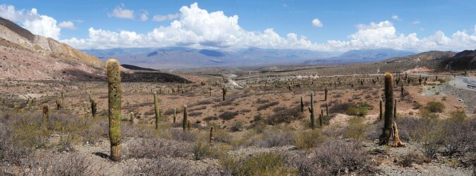 Full-day Cachi and Los Cardones National Park from Salta - From Salta to the high country