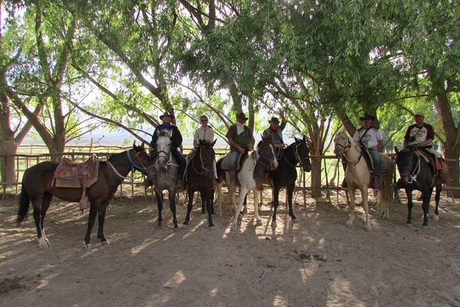 Full day ride at the foot of The Andes - Riding beneath the Andes