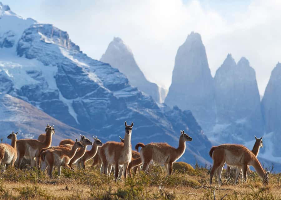 Full-Day Torres del Paine National Park from El Calafate - Riding from El Calafate to the Chilean border