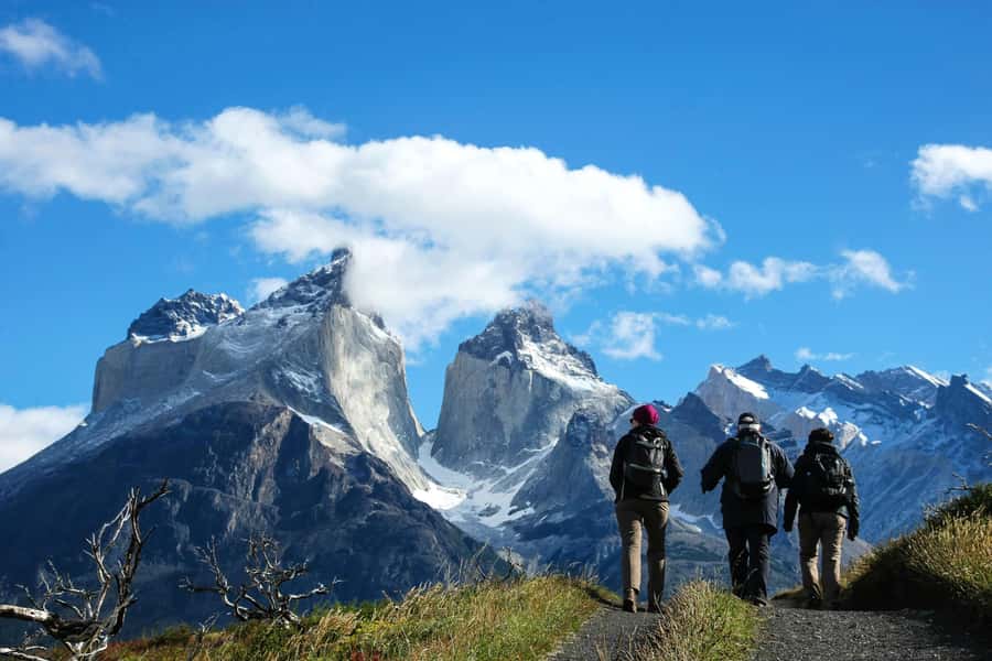 Full-Day Torres del Paine National Park from El Calafate - Grey Glacier from the roadside
