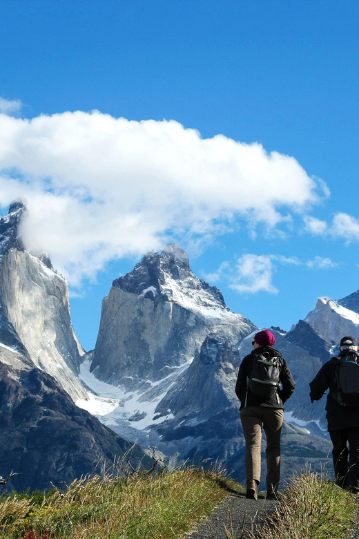 Full-Day Torres del Paine National Park from El Calafate - Wildlife, weather, and the quiet moments