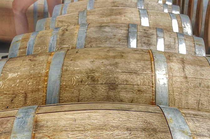 Full-Day Tour Cafayate Calchaqui Valleys with Wine - What the winery visit really offers