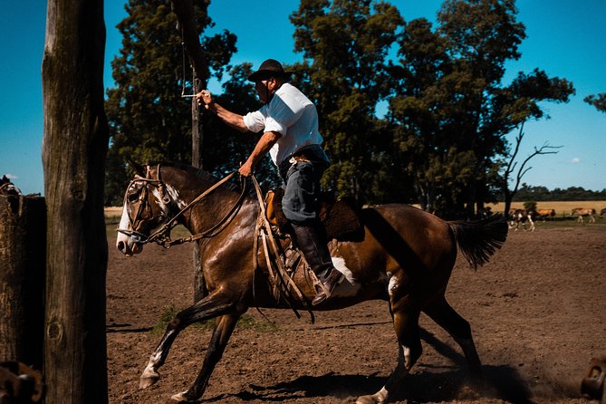 Gaucho Day Trip from Buenos Aires: Santa Susana Ranch - Empanadas, wine, and a look around Santa Susana