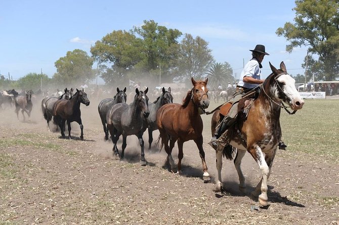 Gaucho Experience: A Day Trip to Don Silvano Ranch - Mate, Museum Pieces, and Open Time