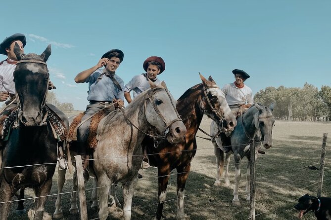 Gaucho Experience: A Day Trip to Don Silvano Ranch - Horseback Riding for Beginners, Not Long Trail Riders