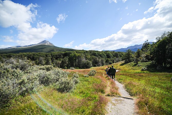 Half-Day Tierra del Fuego National Park with Lunch and Drinks - Why this half-day park tour works well