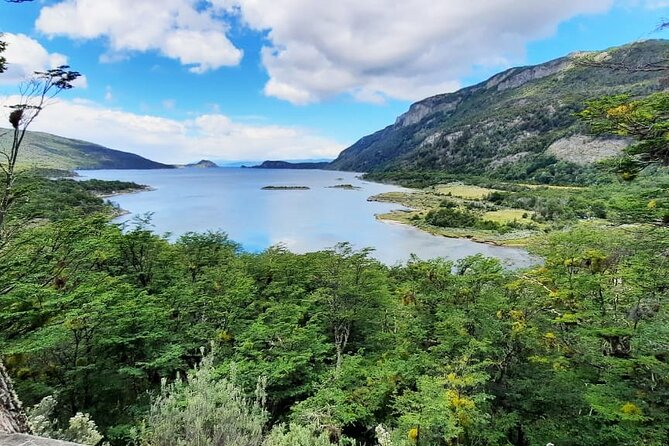 Half-Day Tierra del Fuego National Park with Train - Why this half-day trip works so well in Ushuaia