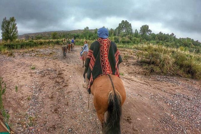 Horseback ride through vineyards followed by gourmet lunch - Why this Mendoza outing works so well