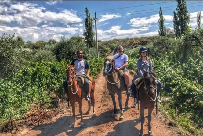 Horseback ride through vineyards followed by gourmet lunch - What first-time riders should expect