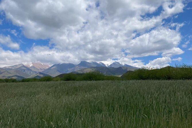 Horseback riding and barbecue in a private ranch - La Carrera, Mendoza - Riding Criollo horses through the Andes