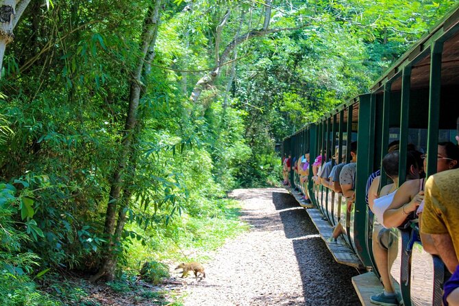 Iguazu Falls: Argentinian Side with Boat Ride, Jungle-truck and Train - Walking the upper paths above the falls