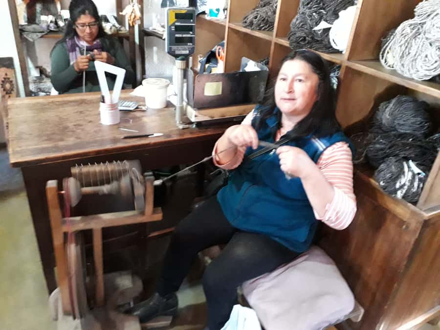 Indigenous People of Patagonia History Tour - What the $41 price buys you