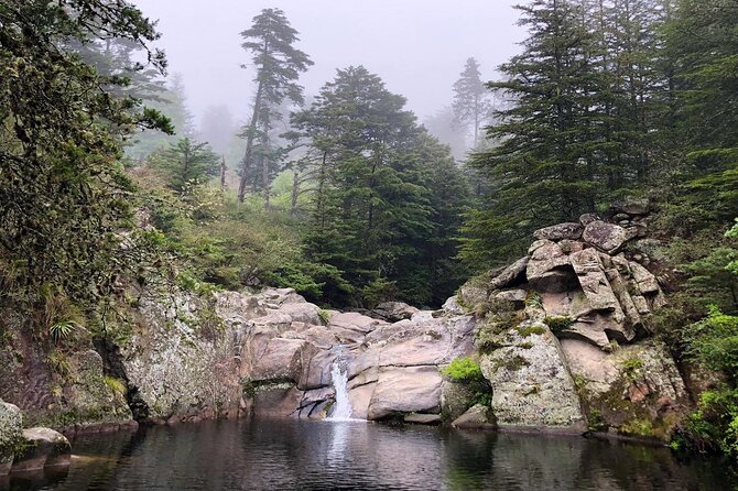 La Cumbrecita and Villa General Belgrano Full Day Tour - Why this day trip is worth the long ride