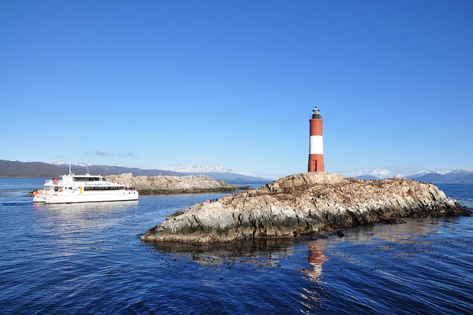 Martillo Island: Boat Trip to the Penguin Colony & Beagle Channel - Bird Island and the sea lions of Bridges Archipelago