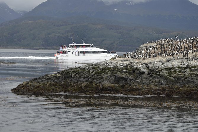 Martillo Island: Boat Trip to the Penguin Colony & Beagle Channel - What the five-hour length really means