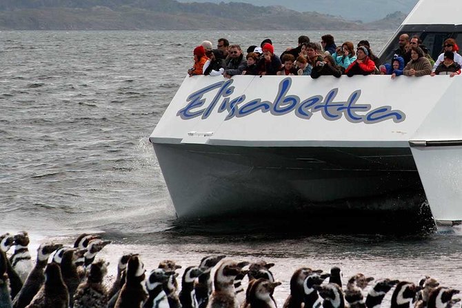 Martillo Island: Boat Trip to the Penguin Colony & Beagle Channel - Who should book this Beagle Channel outing?