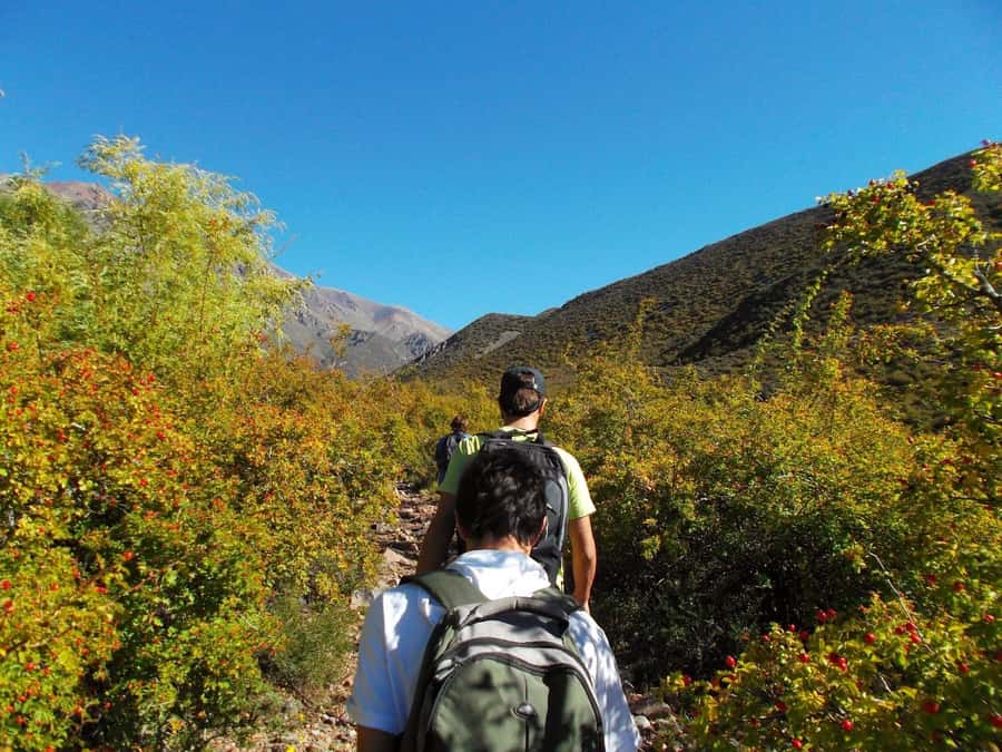 Mendoza: 4-Hour Mountain Trekking With Lunch - A mountain outing from Mendoza to Potrerillos
