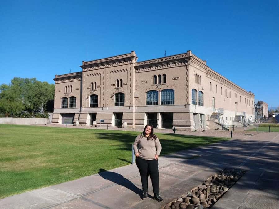 Mendoza: Full Day Wine Tour with 3 Course Lunch - Why Mendoza wine country is worth a full day