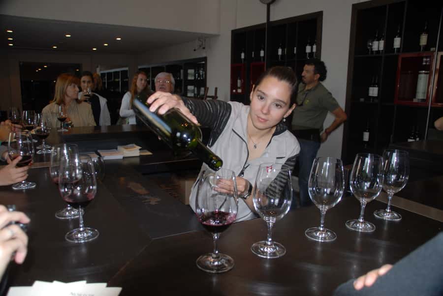 Mendoza: Full Day Wine Tour with 3 Course Lunch - Should you book it?