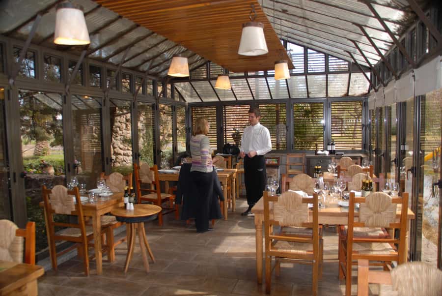 Mendoza: Full Day Wine Tour with 3 Course Lunch - What the guides add to the day