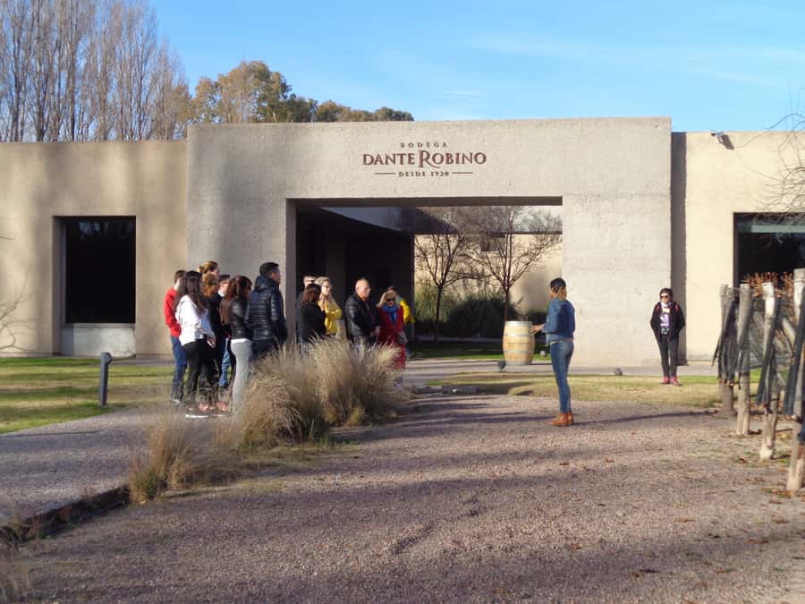Mendoza: Half-Day Wine Tour with Tastings - First winery: from grape to bottle