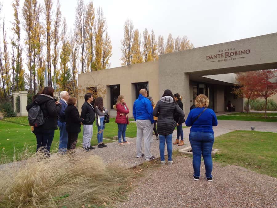 Mendoza: Half-Day Wine Tour with Tastings - Central Mendoza pickup and the ride into wine country