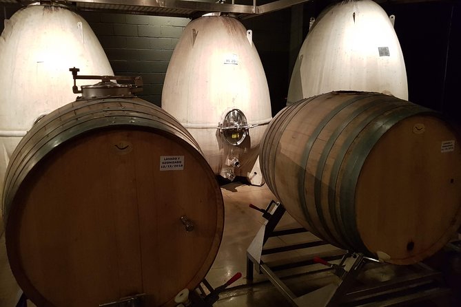 Mendoza Hop-On Hop-Off Wine Tour - Key points before you book