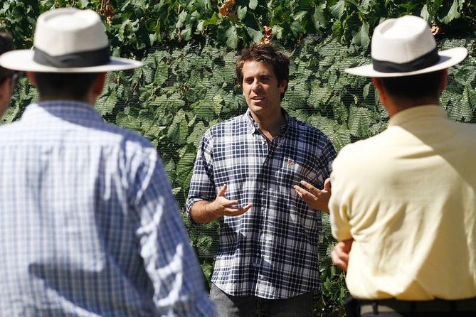 Mendoza Hop-On Hop-Off Wine Tour - What a full-day schedule feels like