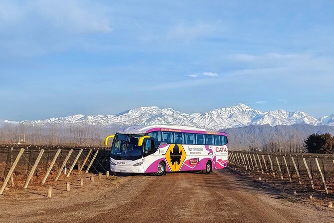 Mendoza Hop-On Hop-Off Wine Tour - The real cost of the $40 price
