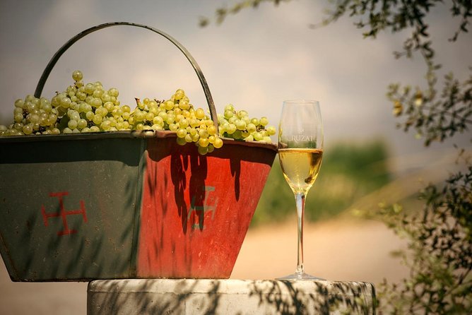 Mendoza Hop-On Hop-Off Wine Tour - Pickup points and the importance of being early
