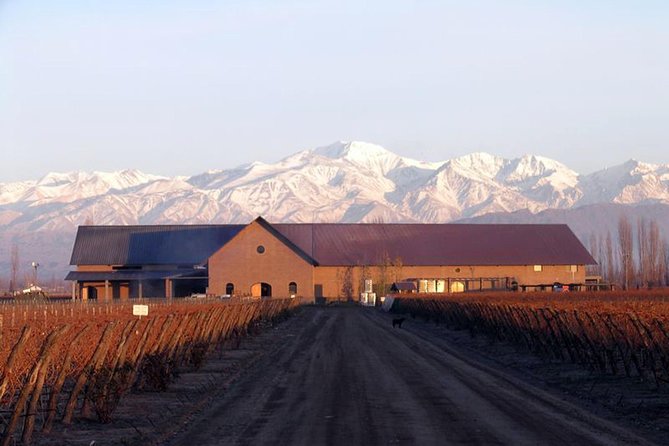 Mendoza Hop-On Hop-Off Wine Tour - Delays, bus comfort, and guide quality