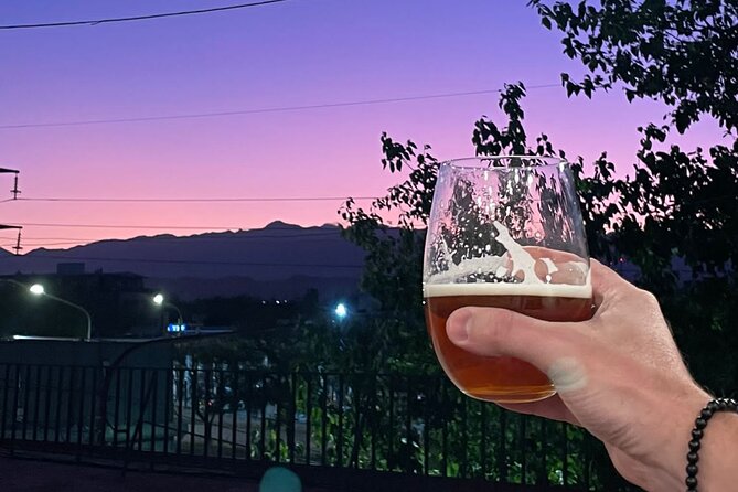 Mendoza: Make an Argentine Asado BBQ w/ Local Host & Wine Tasting - The rooftop setting and bad-weather plan