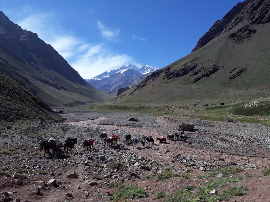 Mendoza: Mt. Aconcagua Confluencia Camp Trekking - Key points to know before booking