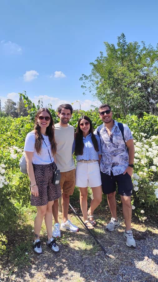 Mendoza: Top Wineries Guided Tour with Transportation - A full day among Mendoza’s vineyards