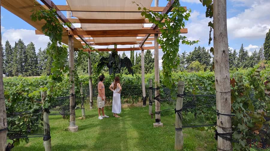 Mendoza: Top Wineries Guided Tour with Transportation - Uco Valley: longer roads, bigger mountain views