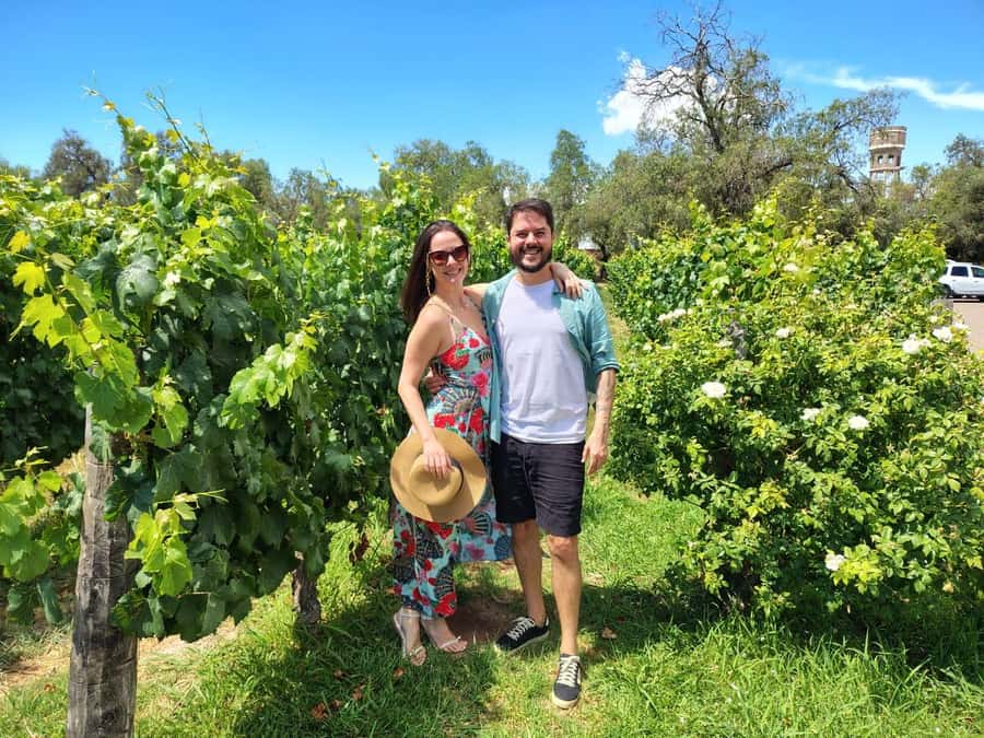 Mendoza: Top Wineries Guided Tour with Transportation - Lunch at the third winery
